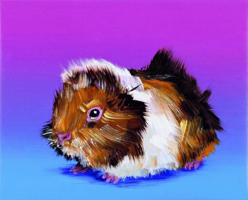 Cornelius Völker, Meerschweinchen, 2003