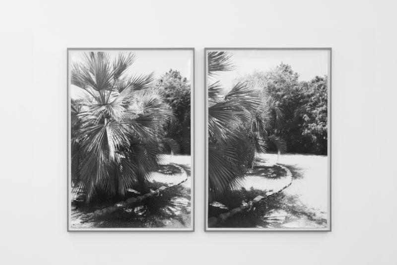 Berit Schneidereit (*1988) | seconds, 2018, Fotogramme auf Silbergelatinedruck, je 145 x 100 cm (Diptychon), erworben 2020