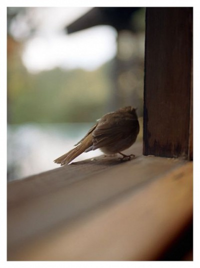 Margarete Jakschik (*1974) | Some Remain, 2019, C-Print, Ed. 1/3 (+ 2 AP), 39 x 29 cm, erworben 2020