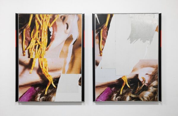 Anna Stüdeli, Latex-Druck auf Affichenpapier, Plakatträger Je 130 × 99,5 × 4 cmBesitz der Künstlerin© Anna Stüdeli