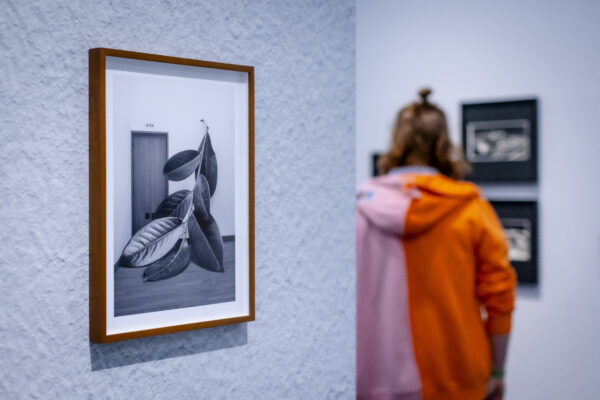 Einblick in die Ausstellung Size Matters. Grösse in der Fotografie, Foto: Anne Orthen