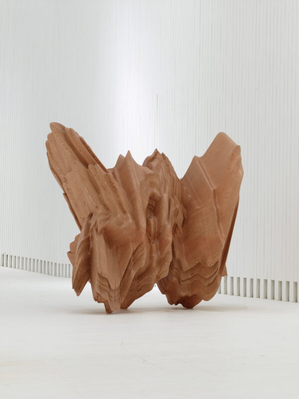 Tony Cragg, Karst, 2020, Holz, 190 cm x 283 cm x 201 cm, © Tony Cragg, Foto: Michael Richter