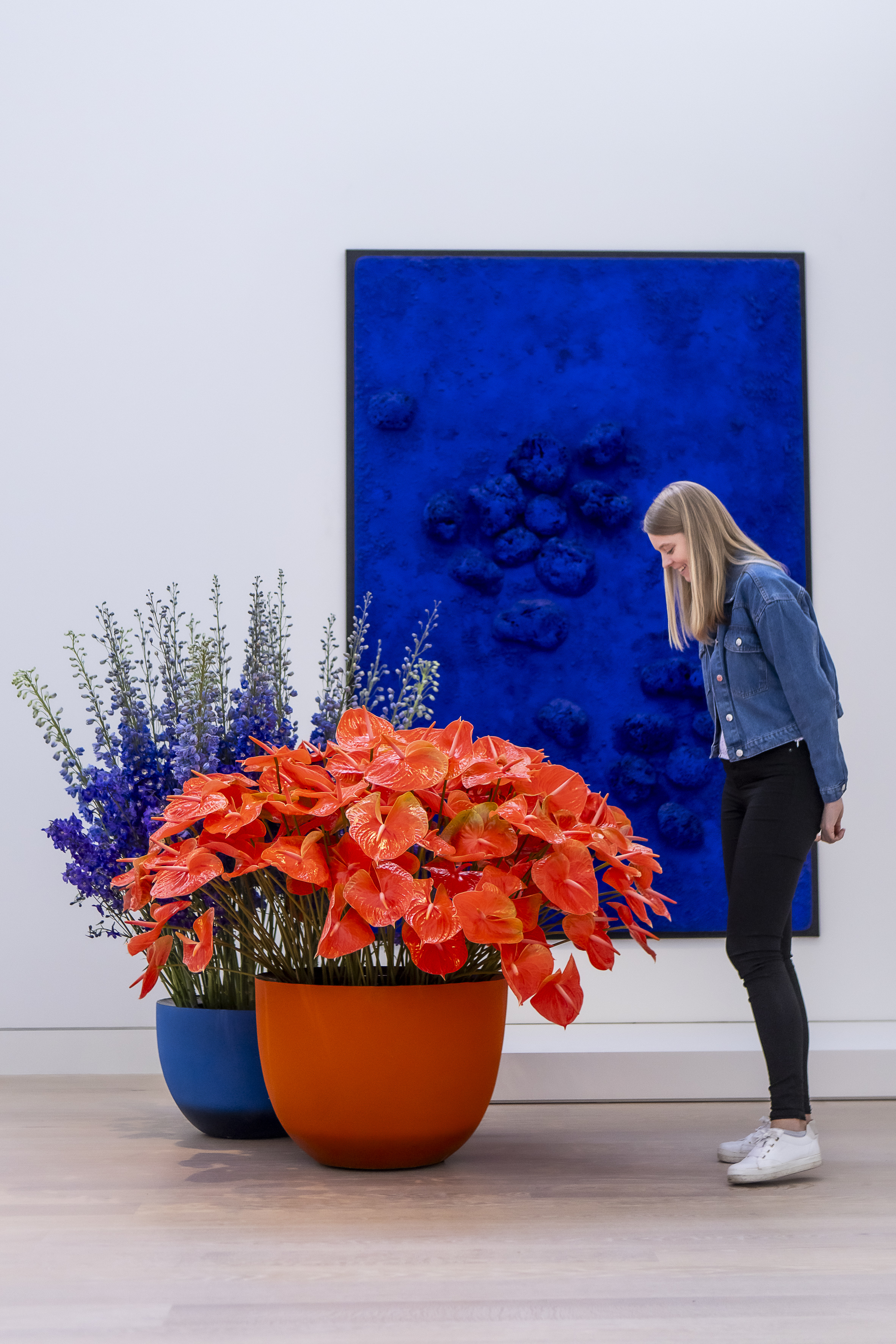 Eine Besucherin betrachtet das Werk Komplementär von Florist Victor Breuer vor Schwammrelief monochrom blau von Yves Klein, Foto: Anne Orthen