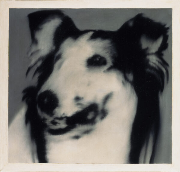 Gerhard Richter, Hundekopf (Lassie), 1965, Öl auf Leinwand, 45 x 42 cm, Olbricht Collection (c) Gerhard Richter 2023 (0225)