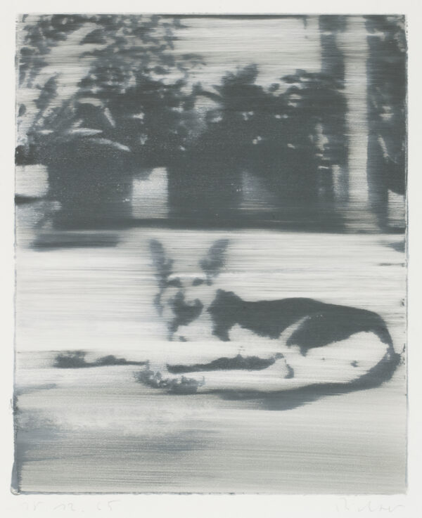 Hund (Edition), 1965, Papier