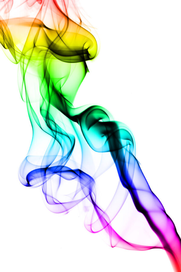 The Secret Power of Scent (29.10.2025 – 8.3.2026)