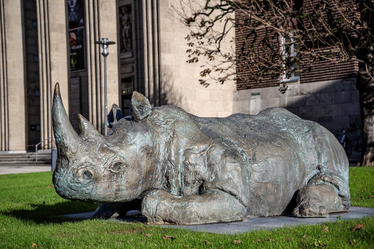 Nashorn von Johanes Brus, Foto: Andreas Endermann