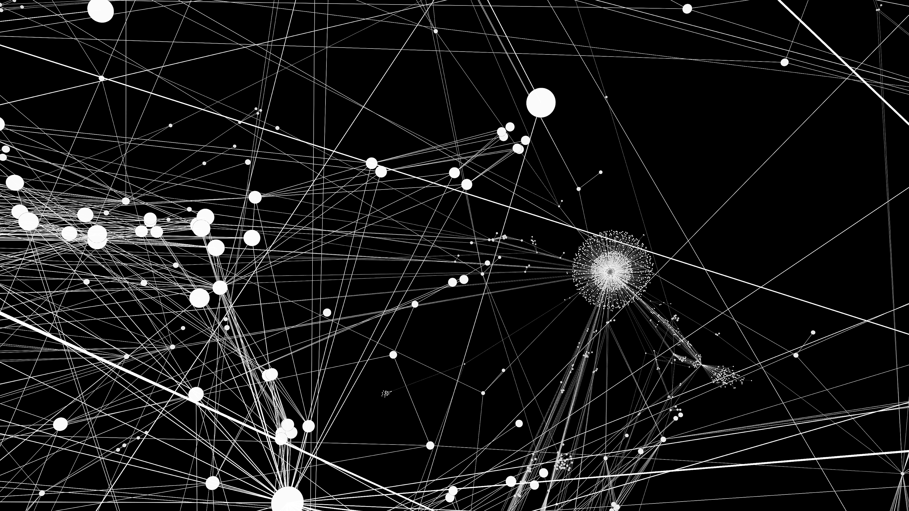 Clemens von Wedemeyer, Social Geometry, 2024, Videoinstallation, Animation, Schwarz-Weiß, Ton, Loop, 19 Min., Courtesy KOW, Berlin & Galerie Jocelyn Wolff, Paris_