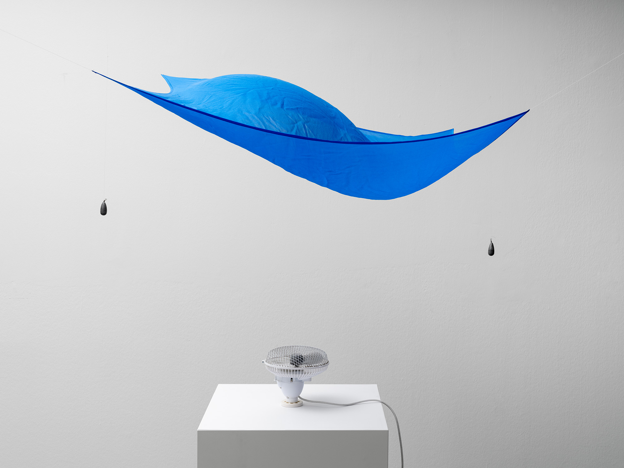 Hans Haacke, Kleines Segel, 1964/65, Rekonstruktion 2006, Kunstpalast, © VG Bild-Kunst, Bonn, Foto: Kunstpalast – bildarbeit Henning Krause