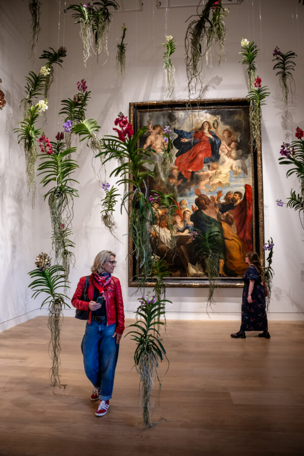Himmelsgarten, Tino Hoogterp und Team, Blumenhaus am Hofgarten, Himmelfahrt Mariae 1616-1618, von Werkstatt Peter Paul Rubens, ©️ andreas_endermann