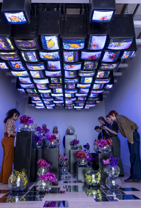Ups, Fisch am Boden, Yeo Jin Choi, Tannendiele // Nam June Paik, Fisch fliegt am Himmel, 1975/1985, Foto: Anne Orthen