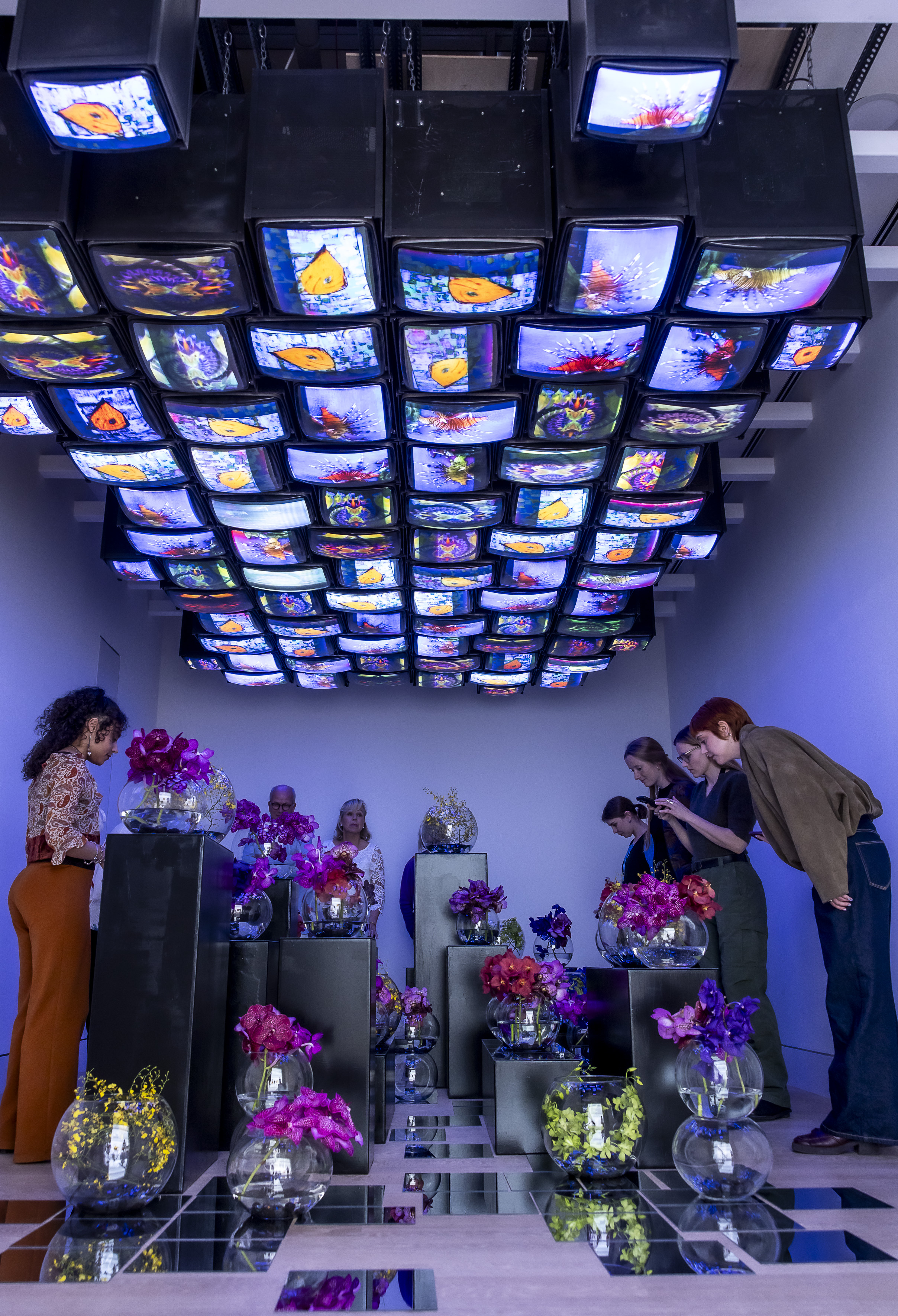 Ups, Fisch am Boden, Yeo Jin Choi, Tannendiele // Nam June Paik, Fisch fliegt am Himmel, 1975/1985, Foto: Anne Orthen