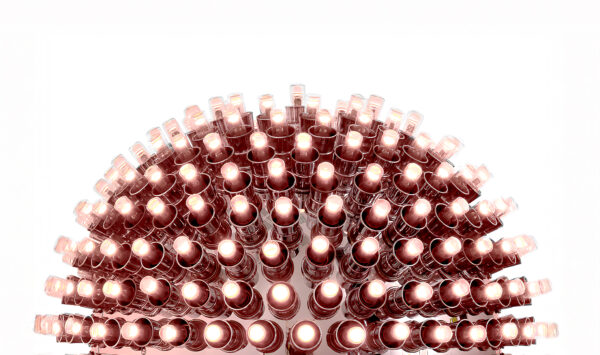 Das fünfte Element. Werke aus der Sammlung Kemp